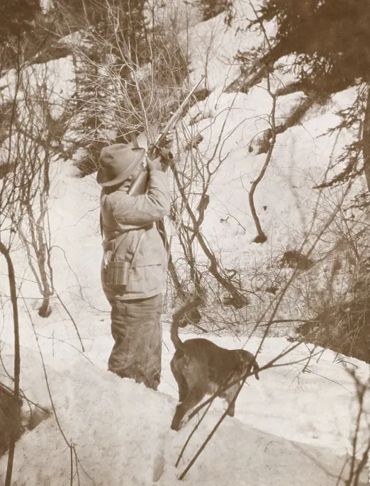 Framed Print : President Theodore Roosevelt shooting one of the big bears out of the tree, Colorado. April 15-30, 1905 (BSLOC_2017_4_84)