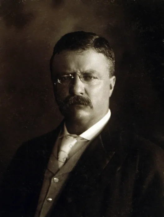 Framed Print : President Theodore Roosevelt, shortly after his rise to the presidency in a 1902
