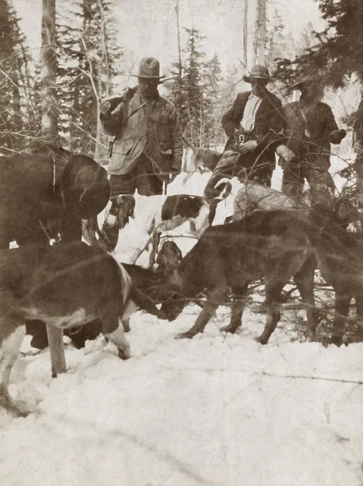 Framed Print : President Theodore Roosevelt standing over a big killed bear, Colorado. At right are his hunting companions John Goff and Jake Borah, April 15-30, 1905 (BSLOC_2017_4_85) Framed Print : President Theodore Roosevelt standing over a big killed bear, Colorado. At right are his hunting companions John Goff and Jake Borah, April 15-30, 1905 (BSLOC_2017_4_85)