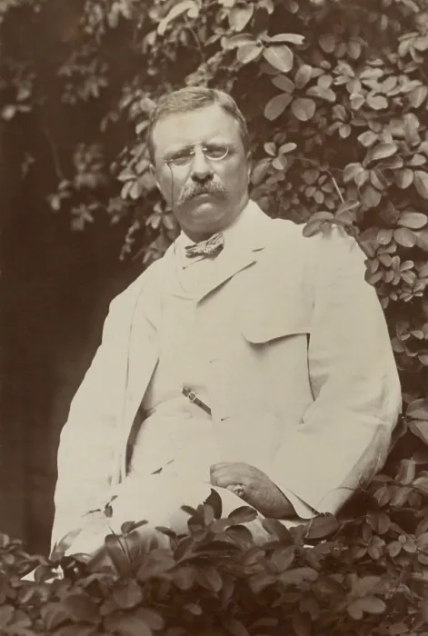 Framed Print : President Theodore Roosevelt, in a white summer suit on a veranda surrounded by tree leaves
