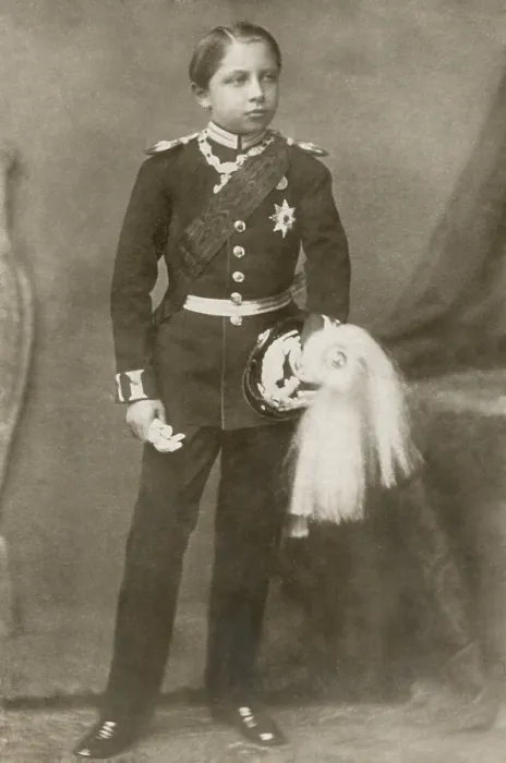Framed Print : Prince Wilhelm of Prussia, c. 1873. He was the first son of the Crown Prince of Prussia and heir to the throne of the newly consolidated German Empire