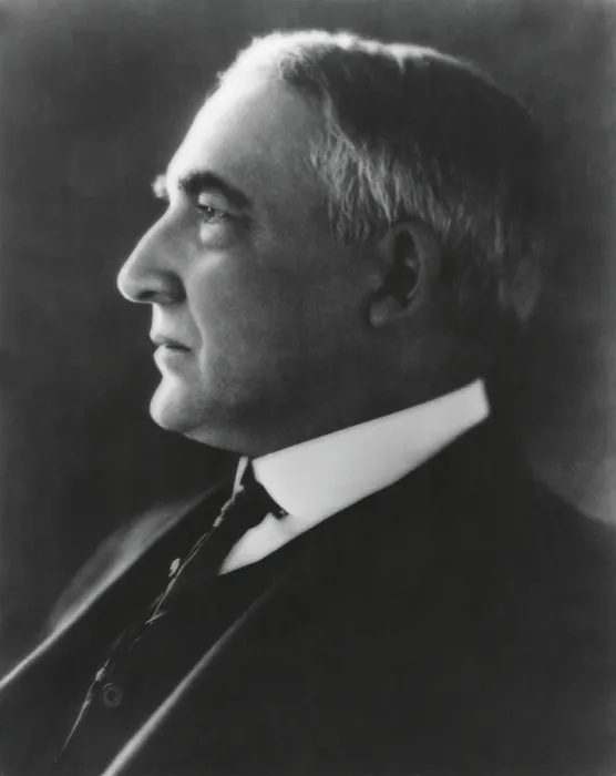 Framed Print : Profile Portrait of President Warren Harding, ca. 1921-23. (BSLOC_2015_15_7)