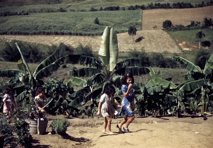Framed Print : Puerto Rico. Children of tenant farmers, Puerto Rico. Photograph by Jack Delano, 1941