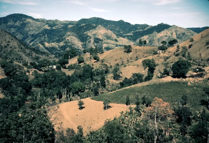 Framed Print : Puerto Rico. Forest and clear cut fields, vicinity of Corozal, Puerto Rico. Photograph by Jack Delano, 1941 Framed Print : Puerto Rico. Forest and clear cut fields, vicinity of Corozal, Puerto Rico. Photograph by Jack Delano, 1941