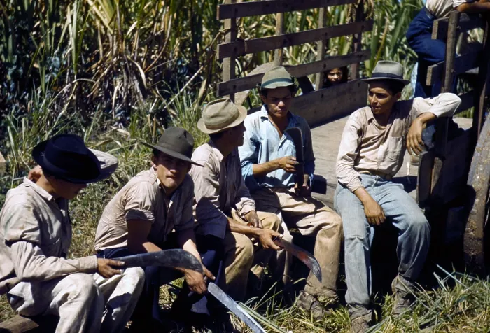 Framed Print : Puerto Rico. Sugar cane workers resting at the noon hour, Rio Piedras, Puerto Rico. Photograph by Jack Delano, 1941