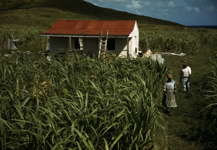 Framed Print : Puerto Rico. Tenant farmers by their house, Puerto Rico. Photograph by Jack Delano, 1941