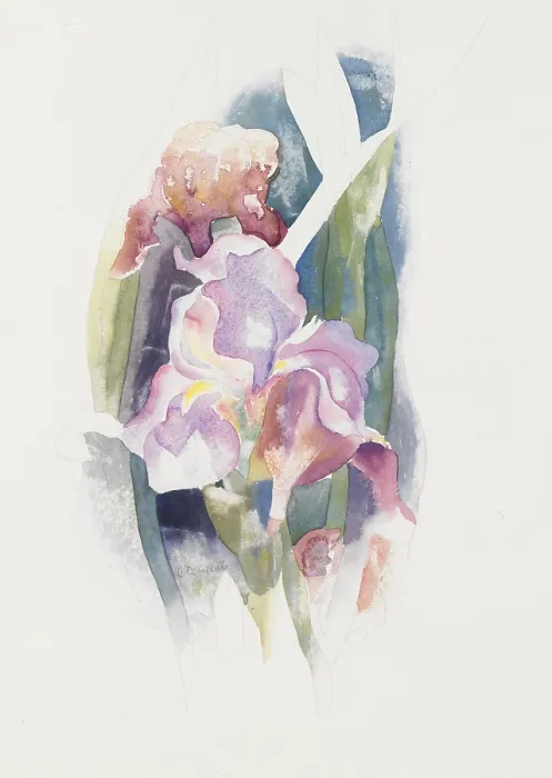 Framed Print : PURPLE IRIS, by Charles Demuth, c. 1920, American painting, watercolor, and graphite on cardboard