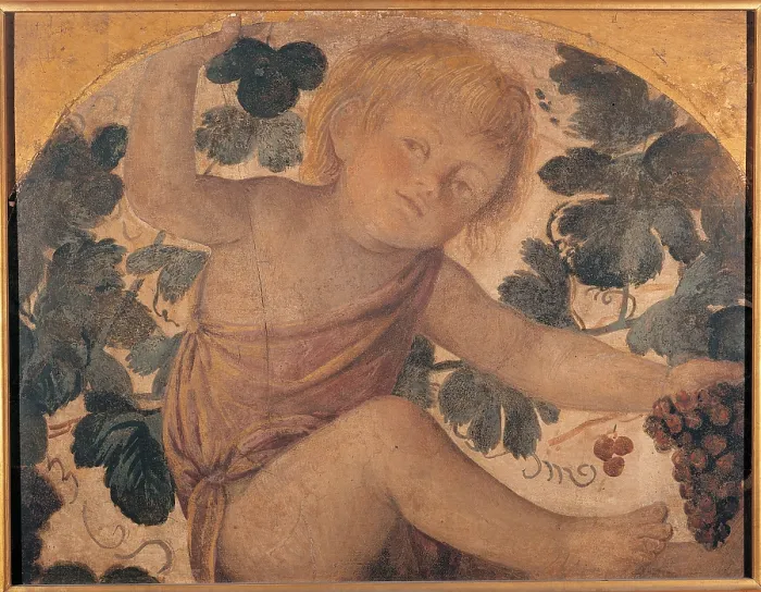 Framed Print : Putto under an Arbor, by Bernardino Luini, 1521 - 1523, 16th Century, fresco transferred to panel, cm 50 x 65 - Italy, Lombardy, Milan, Brera Art Gallery
