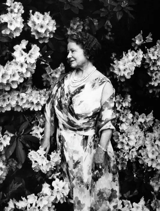 Framed Print : Queen Elizabeth (the Queen Mother), Windsor, England, 1970.. Courtesy: CSU Archives / Everett Collection Framed Print : Queen Elizabeth (the Queen Mother), Windsor, England, 1970.. Courtesy: CSU Archives / Everett Collection