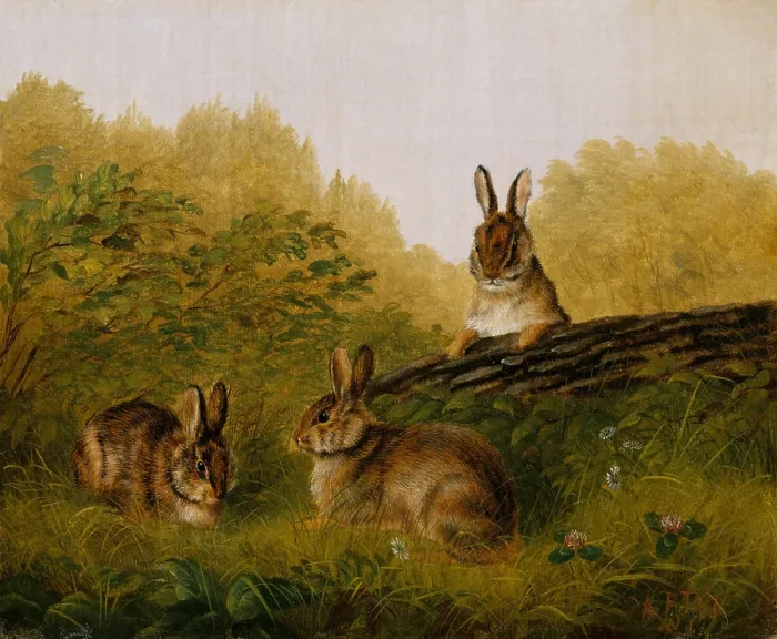Framed Print : RABBITS ON A LOG, by Arthur Fitzwilliam Tait, 1897, American painting, oil on canvas Framed Print : RABBITS ON A LOG, by Arthur Fitzwilliam Tait, 1897, American painting, oil on canvas