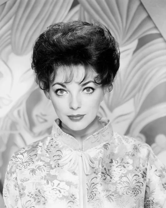 Framed Print : RALLY ROUND THE FLAG, BOYS!, Joan Collins, 1958, 20th Century Fox, TM & Copyright, courtesy Everett Collection