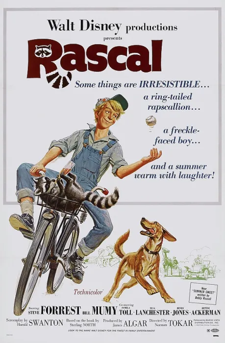 Framed Print : RASCAL, US poster art, Billy Mumy, 1969
