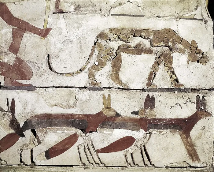 Framed Print : Reliefs from the tomb of Nefermaat. 2649 BC. Jackals and a panther. Form part of a representation of hunting in the desert