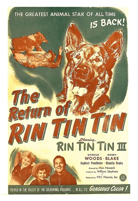 Framed Print : THE RETURN OF RIN TIN TIN, US poster, Rin Tin Tin III (center), bottom from left: Claudia Drake, Bobby Blake, Donald Woods, 1947