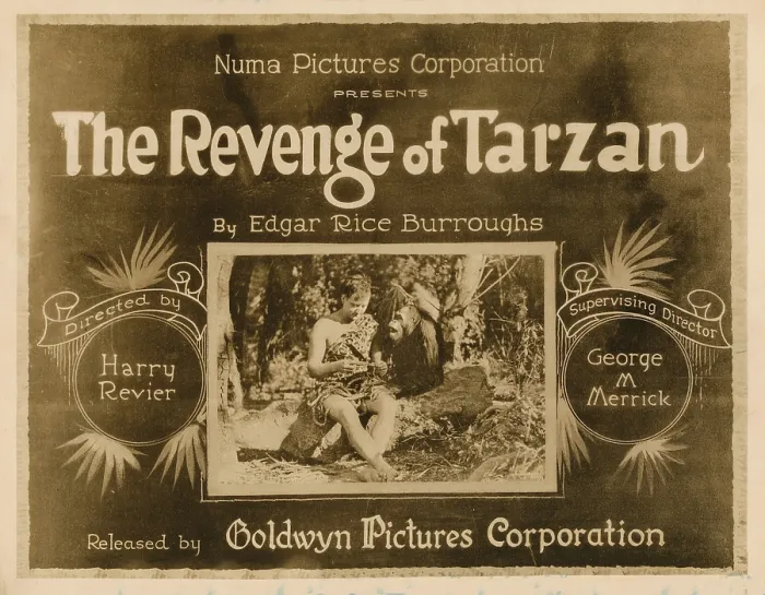 Framed Print : THE REVENGE OF TARZAN, lobbycard, Gene Pollar, 1920
