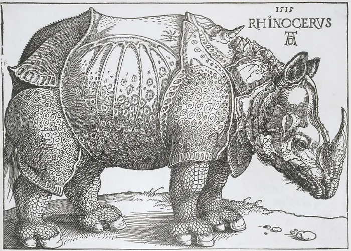 Framed Print : Rhinoceros, by Hendrick Hondius copied from Albrecht Durer, 1515, Dutch print