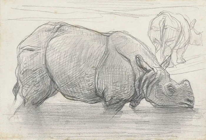 Framed Print : Rhinoceros in Water, by August Allebe, c. 1860-1900, Dutch chalk drawing. (BSLOC_2016_1_287)