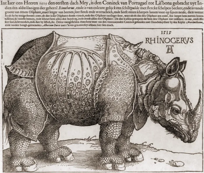 Framed Print : THE RHINOCEROS, Woodcut by Albrecht Durer, (1471-1528), drawn from the description of an Indian rhinoceros