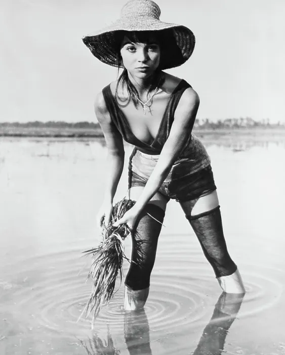 Framed Print : RICE GIRL, (aka LA RISAIA), Elsa Martinelli, 1956