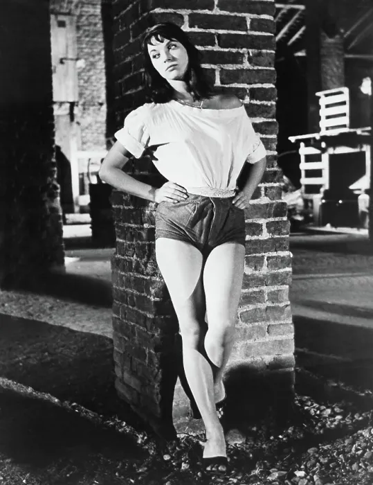 Framed Print : RICE GIRL, (aka LA RISAIA), Elsa Martinelli, 1956 Framed Print : RICE GIRL, (aka LA RISAIA), Elsa Martinelli, 1956