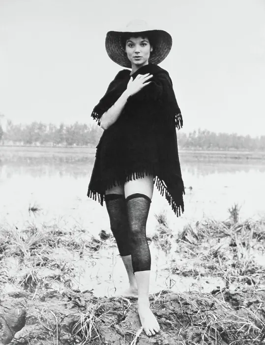 Framed Print : RICE GIRL, (aka LA RISAIA), Elsa Martinelli, 1956