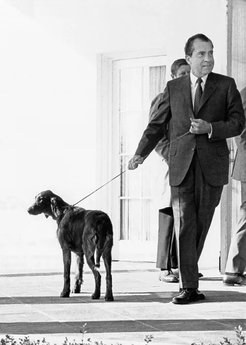 Framed Print : Richard Nixon with his six month old Irish Setter, King Timahoe. The dog was a gift from his staff, and was named for his mother's family home, the Irish town of Timahoe. Feb