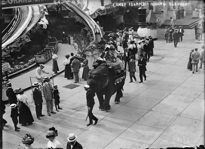 Framed Print : Riding an elephant in Coney Island, New York City, 1911 Framed Print : Riding an elephant in Coney Island, New York City, 1911