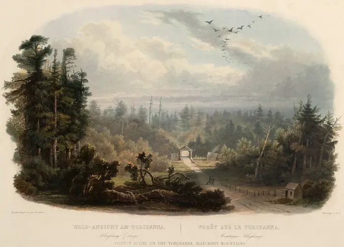 Framed Print : Road running through the Allegany Mountains of Eastern Pennsylvania in 1832