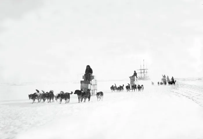 Framed Print : ROBERT E.PEARY-Loading supplies from Commander Peary's Arctic expedition ship The Roosevelt, 1902-1905.. Courtesy: CSU Archives  /  Everett Collection