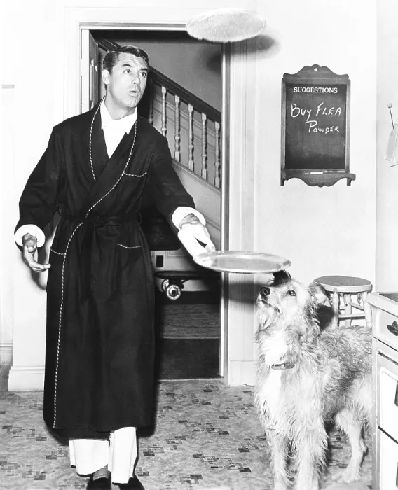Framed Print : ROOM FOR ONE MORE, Cary Grant, 1952