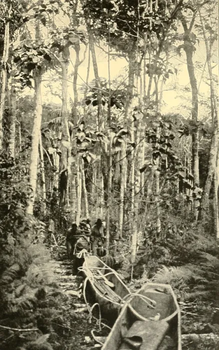 Framed Print : The Roosevelt-Rondon Expeditions 15 Brazilian porters drag canoes over a portage Framed Print : The Roosevelt-Rondon Expeditions 15 Brazilian porters drag canoes over a portage