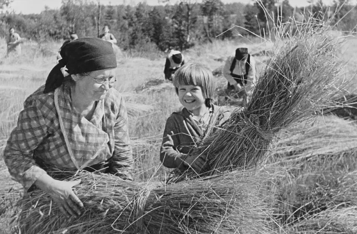Framed Print : Russian crops harvested by a sixty-year-old collective farmer and her granddaughter in Sept. 1941 Framed Print : Russian crops harvested by a sixty-year-old collective farmer and her granddaughter in Sept. 1941