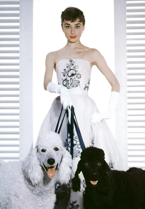 Framed Print : SABRINA, Audrey Hepburn, 1954