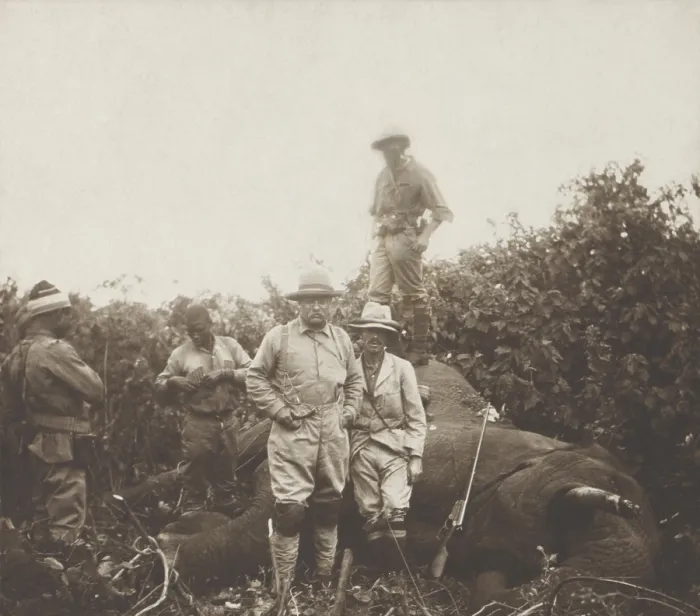 Framed Print : Safari group stands around a bull elephant Theodore Roosevelt shot at Meru, Kenya. TR stands in center, his son Kermit leans against the dead beast, and R. J