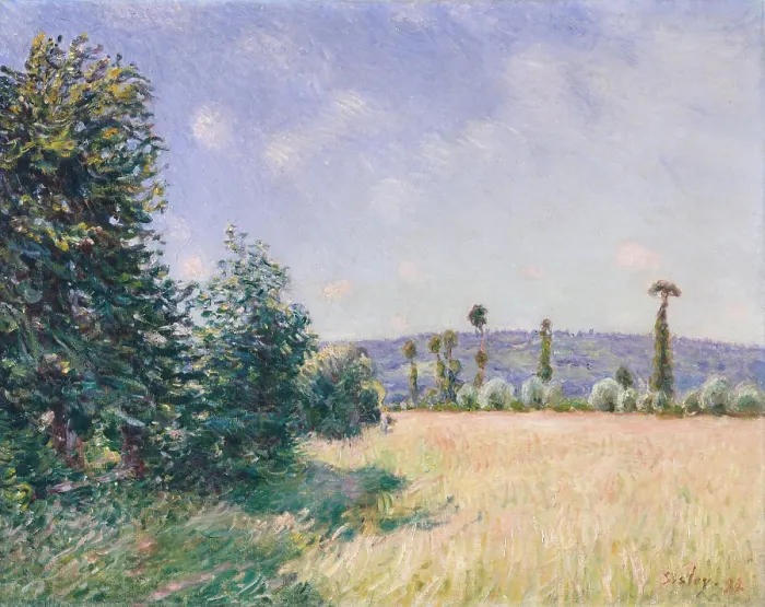 Framed Print : Sahurs Meadows in Morning Sun, by Alfred Sisley, 1894, French impressionist painting, oil on canvas Framed Print : Sahurs Meadows in Morning Sun, by Alfred Sisley, 1894, French impressionist painting, oil on canvas
