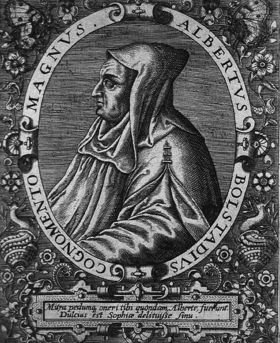 Framed Print : Saint Albertus Magnus (1193) Framed Print : Saint Albertus Magnus (1193)