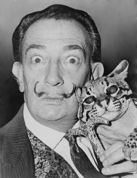 Framed Print : Salvador Dali (1904-1989), eccentric Spanish Surrealist painter with his pet ocelot, a wild cat native to South and Central America, at the St. Regis Hotel in 1965
