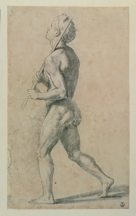 Framed Print : Sanzio Raffaello, Male Nude Walking to the Left with a Stick Resting on his Left Shoulder, 1483 - 1520, 16th Century, pencil on paper, Italy, Tuscany, Florence, Uffizi Gallery