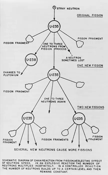 Framed Print : Schematic diagram of chain reaction from fission of uranium 235. From a U.S. government publication by Henry DeWolf Smyth, ca. 1940-45. (BSLOC_2015_2_19) Framed Print : Schematic diagram of chain reaction from fission of uranium 235. From a U.S. government publication by Henry DeWolf Smyth, ca. 1940-45. (BSLOC_2015_2_19)