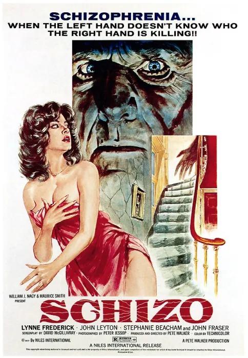Framed Print : SCHIZO, poster, 1976