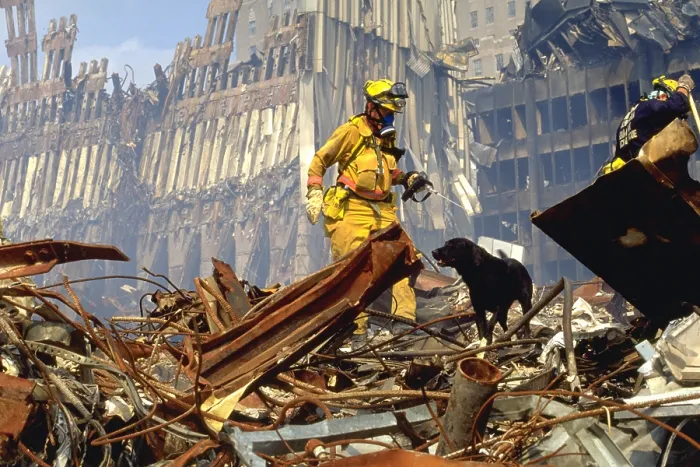 Framed Print : Search and rescue teams search for survivors amongst the wreckage of the World Trade Center. Sept. 20 2001 Framed Print : Search and rescue teams search for survivors amongst the wreckage of the World Trade Center. Sept. 20 2001