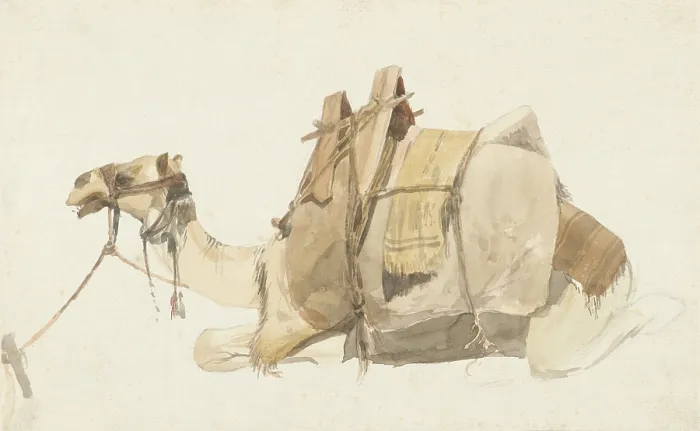 Framed Print : Seated Laden Camel, by George Antoine Prosper Marilhat, 1821-47, French watercolor painting. Camel leaded with cargo. (BSLOC_2016_1_264) Framed Print : Seated Laden Camel, by George Antoine Prosper Marilhat, 1821-47, French watercolor painting. Camel leaded with cargo. (BSLOC_2016_1_264)