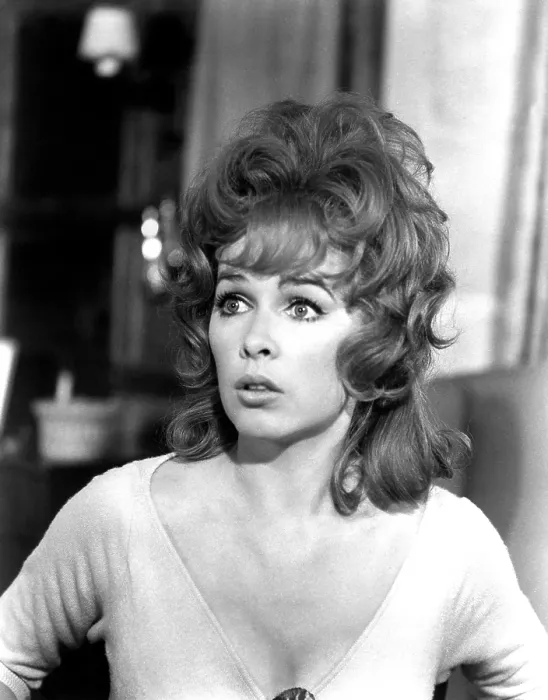 Framed Print : THE SECRET OF MY SUCCESS, Stella Stevens, 1965