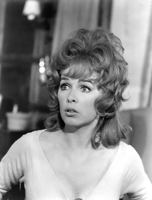 Framed Print : THE SECRET OF MY SUCCESS, Stella Stevens, 1965