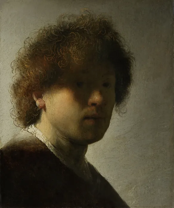 Framed Print : Self-Portrait, by Rembrandt Van Rijn, 1628, Dutch painting, oil on panel. At age 22 Rembrandt painted this self-portrait, gazing out from obscuring shadows