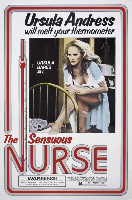 Framed Print : THE SENSUOUS NURSE, (aka THE SECRETS OF THE SENSUOUS NURSE, aka L'INFERMIERA), US poster art, Ursula Andress, 1975