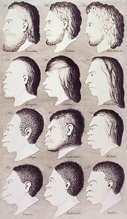 Framed Print : A series of human heads from difference races and ethnicities progressively develop from an idealized Caucasian profile to stereotypes of non-Europeans Framed Print : A series of human heads from difference races and ethnicities progressively develop from an idealized Caucasian profile to stereotypes of non-Europeans