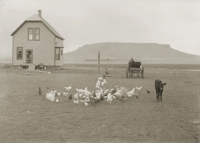 Framed Print : Settlers from Benson, Minnesota, on the Hancock homestead, live a new house. It is sited on flat land, with plateau ridge in the distance Framed Print : Settlers from Benson, Minnesota, on the Hancock homestead, live a new house. It is sited on flat land, with plateau ridge in the distance