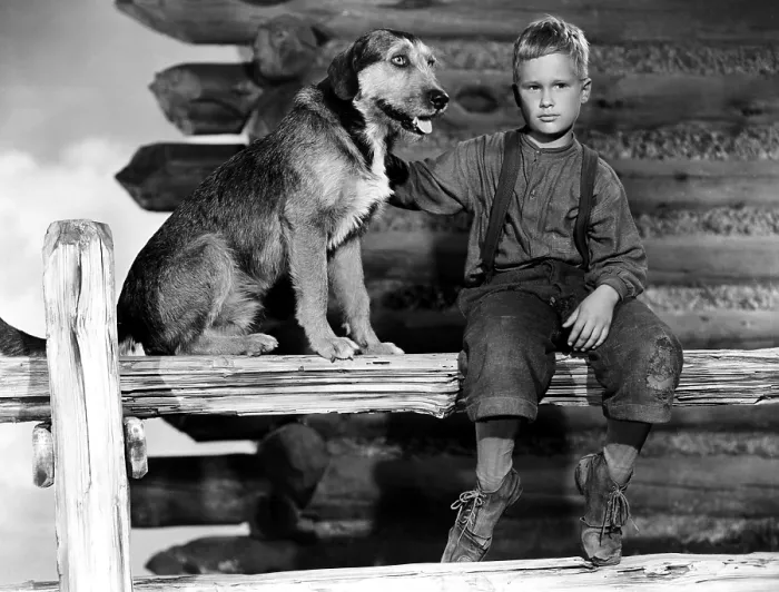 Framed Print : SHANE, Brandon de Wilde, 1953