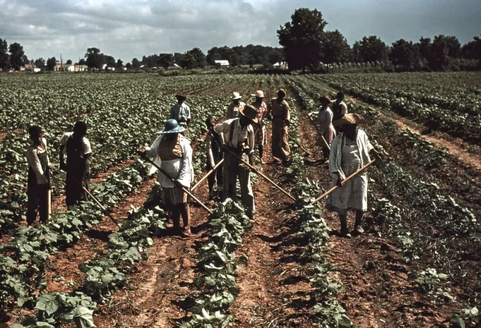 Framed Print : Sharecroppers at Bayou Bourbeau plantation, a cooperative established through the cooperation of FSA, Natchitoches, La, photograph by Marion Post Wolcott, 1940 Framed Print : Sharecroppers at Bayou Bourbeau plantation, a cooperative established through the cooperation of FSA, Natchitoches, La, photograph by Marion Post Wolcott, 1940